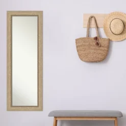 19" X 53" Non-Beveled Astor Champagne Full Length On The Door Mirror - Amanti Art -Adesso Store GUEST 096a1c8f dc4b 40d0 9131 cfcebbbec34c