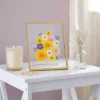 Juvale 8 Pack Gold 5x7 Floating Picture Frames For Tabletop, Pressed Flowers, Home Decor