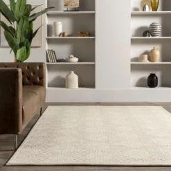 NuLOOM Natural Textured Suzanne Area Rug -Adesso Store GUEST 121aa2ae 0d1d 4122 ac5c ec0820b440d5