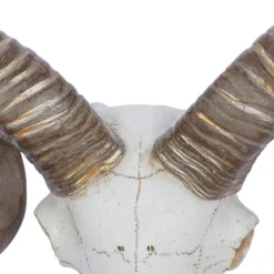 Polystone Sheep Skull Wall Decor White - Olivia & May 7 Polystone Sheep Skull Wall Decor White - Olivia & May -Adesso Store GUEST 3cd40bb9 77d7 41a4 8db3 c098b811a8d9