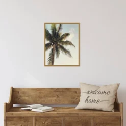 16" X 20" Coconut Palm By Olivia Joy Framed Canvas Wall Art - Amanti Art -Adesso Store GUEST 4bad1905 1db5 4083 b0bb adcc6c7e213e