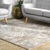NuLOOM Vintage Medallion Thea Area Rug