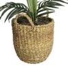 60" X 36" Artificial Areca Palm In Basket With Handles - LCG Florals
