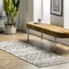 NuLOOM Olivia Transitional Moroccan Area Rug