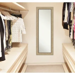 19" X 53" Non-Beveled Astor Champagne Full Length On The Door Mirror - Amanti Art -Adesso Store GUEST 77f447e3 1e90 4912 8134 285922b7fd12