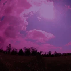 Adesso Store -Adesso Store GUEST 892a3c06 eb8a 4b10 8935 982e1c185aa9