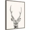 18" X 24" Animal Mug IV Deer By Victoria Borges Framed Canvas Wall Art Gray - Amanti Art