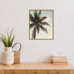 16" X 20" Coconut Palm By Olivia Joy Framed Canvas Wall Art - Amanti Art -Adesso Store GUEST cf904d93 6224 4dce a6b3 c227347ddf64
